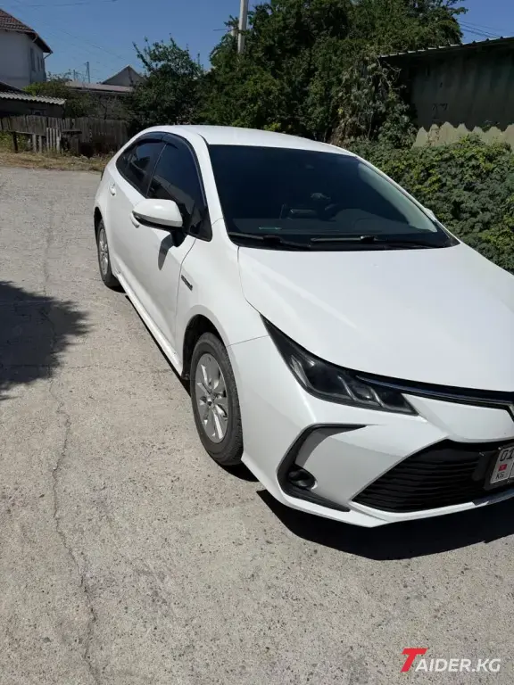 Toyota Corolla, 2019
