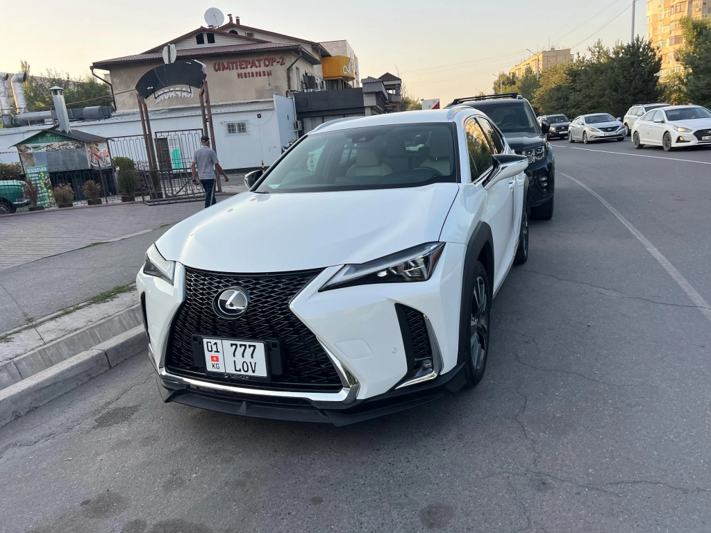 Lexus UX, 2020, 2.0