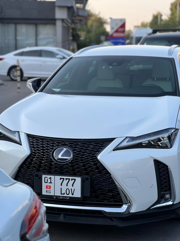 Lexus UX, 2020, 2.0