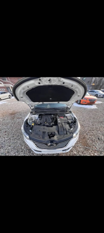 Renault Samsung SM6, 2020, 2.0