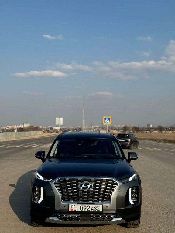 Hyundai Palisade, 2021, 3.8