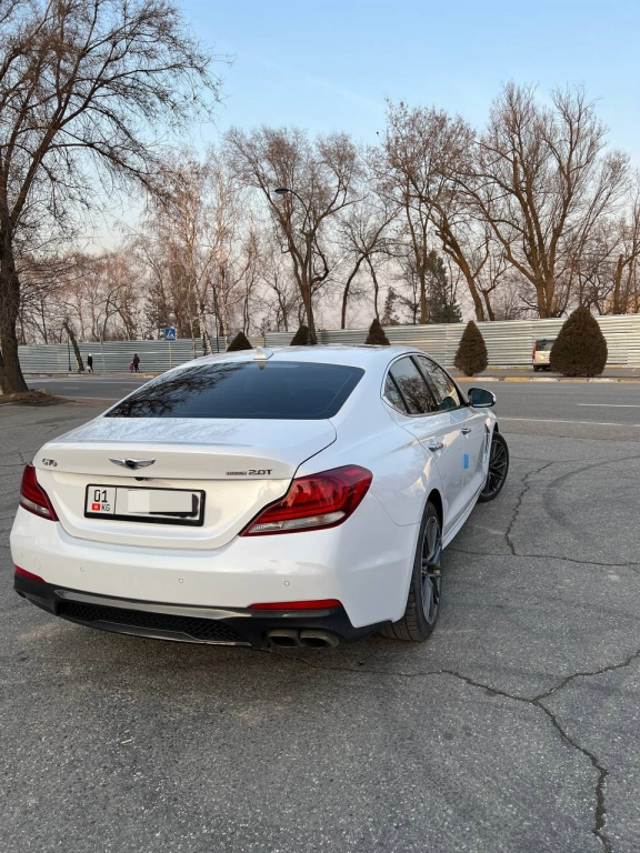 Hyundai Genesis, 2018, 2.0