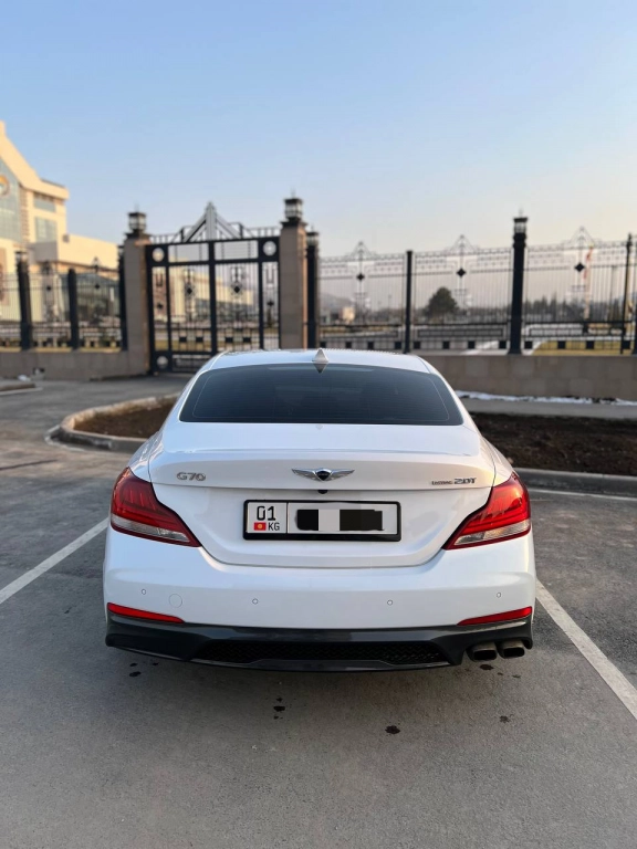 Hyundai Genesis, 2018, 2.0