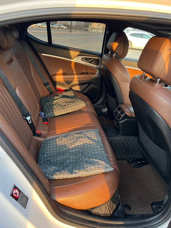 Hyundai Genesis, 2018, 2.0