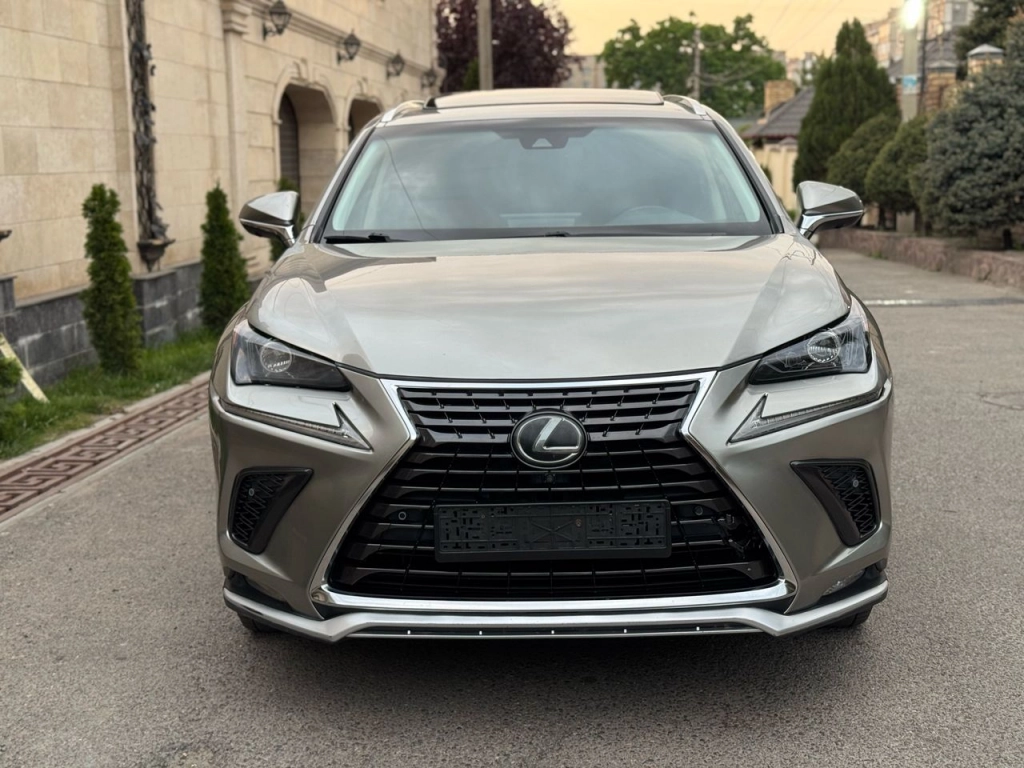 Lexus NX, 2020, 2.0