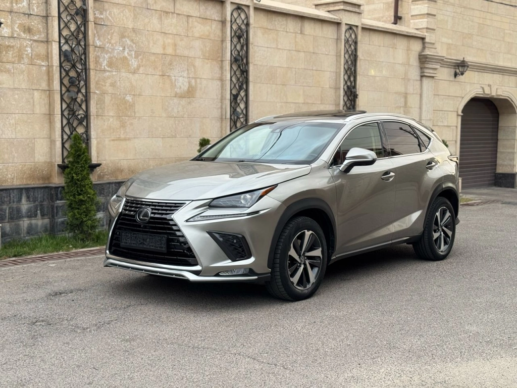 Lexus NX, 2020, 2.0