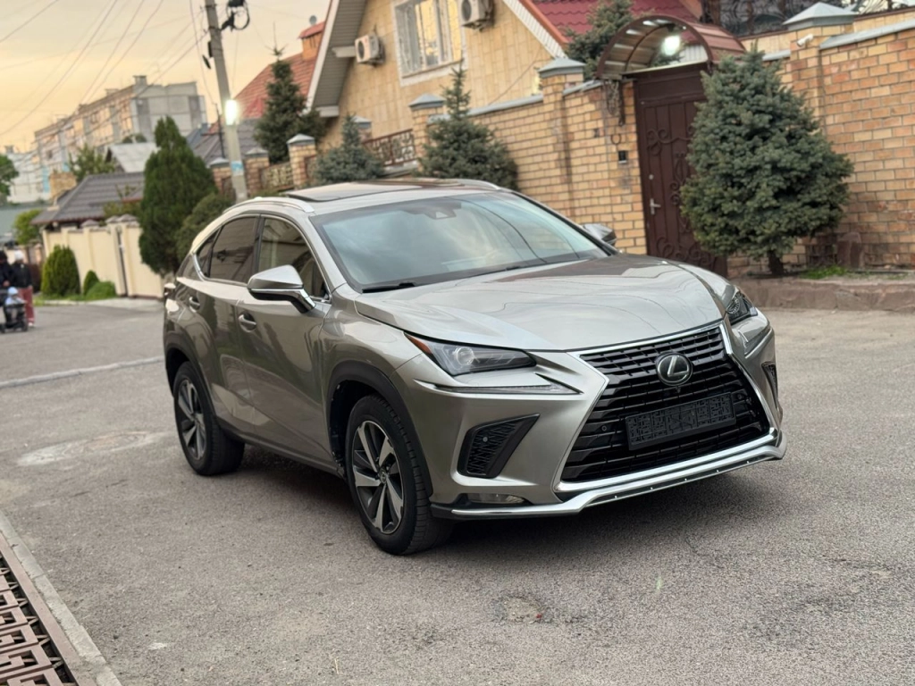 Lexus NX, 2020, 2.0