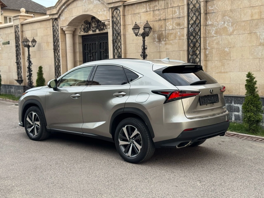 Lexus NX, 2020, 2.0