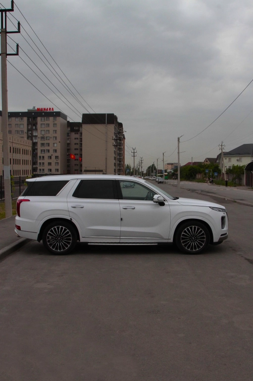 Hyundai Palisade, 2021, 2.2