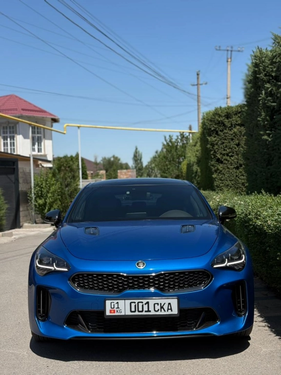 Kia Stinger, 2019, 2.0