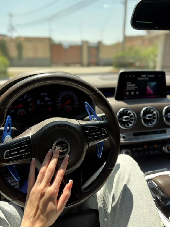 Kia Stinger, 2019, 2.0