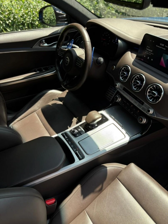 Kia Stinger, 2019, 2.0