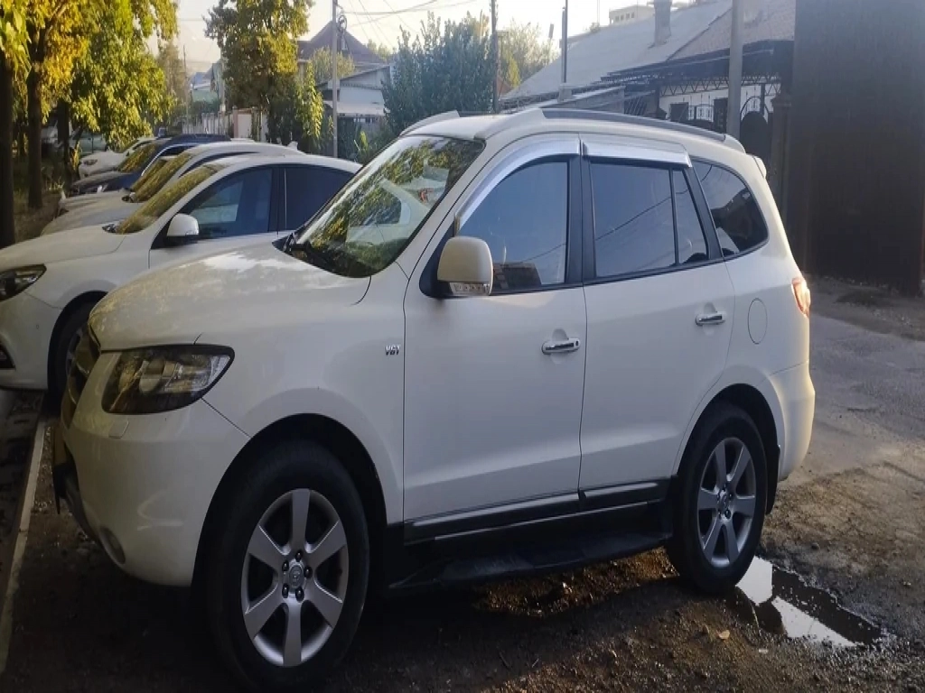 Hyundai Santa Fe, 2009, 2.2