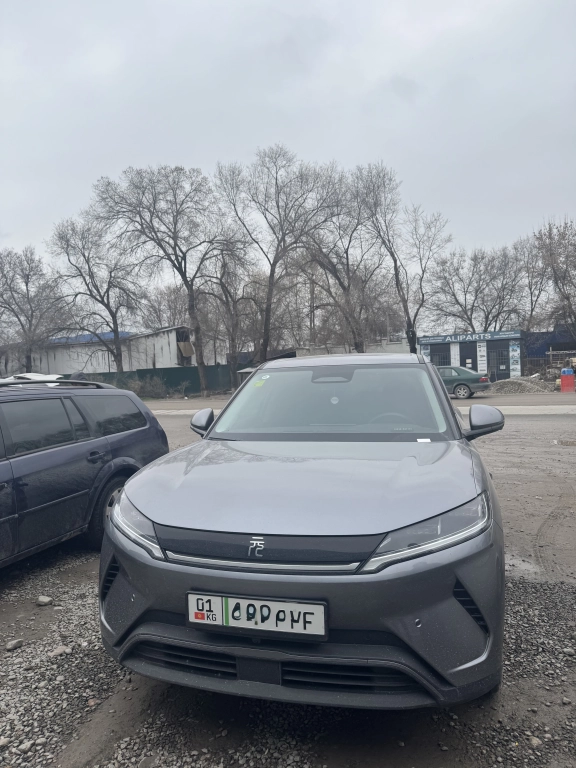 BYD Yuan-Up, 2025, 0.1