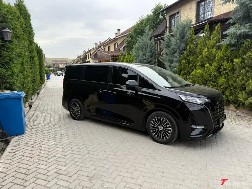 Denza D9, 2024